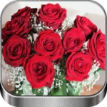 Logo of Flores y Rosas Rojas imágenes android Application 