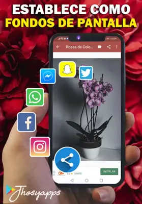 Flores y Rosas Rojas imágenes android App screenshot 10