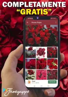 Flores y Rosas Rojas imágenes android App screenshot 12