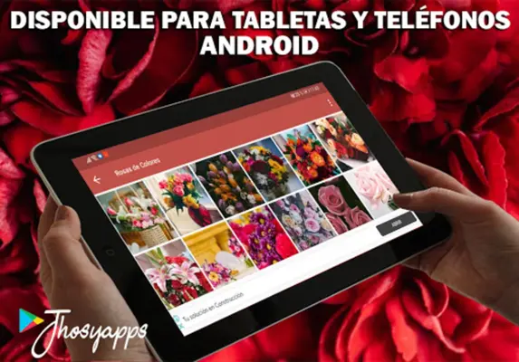 Flores y Rosas Rojas imágenes android App screenshot 5